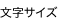 文字サイズ